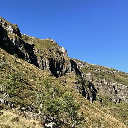 Apartment Coquet Avec Terrasse Au Lioran, Animaux Admis - Fr-1-787-119